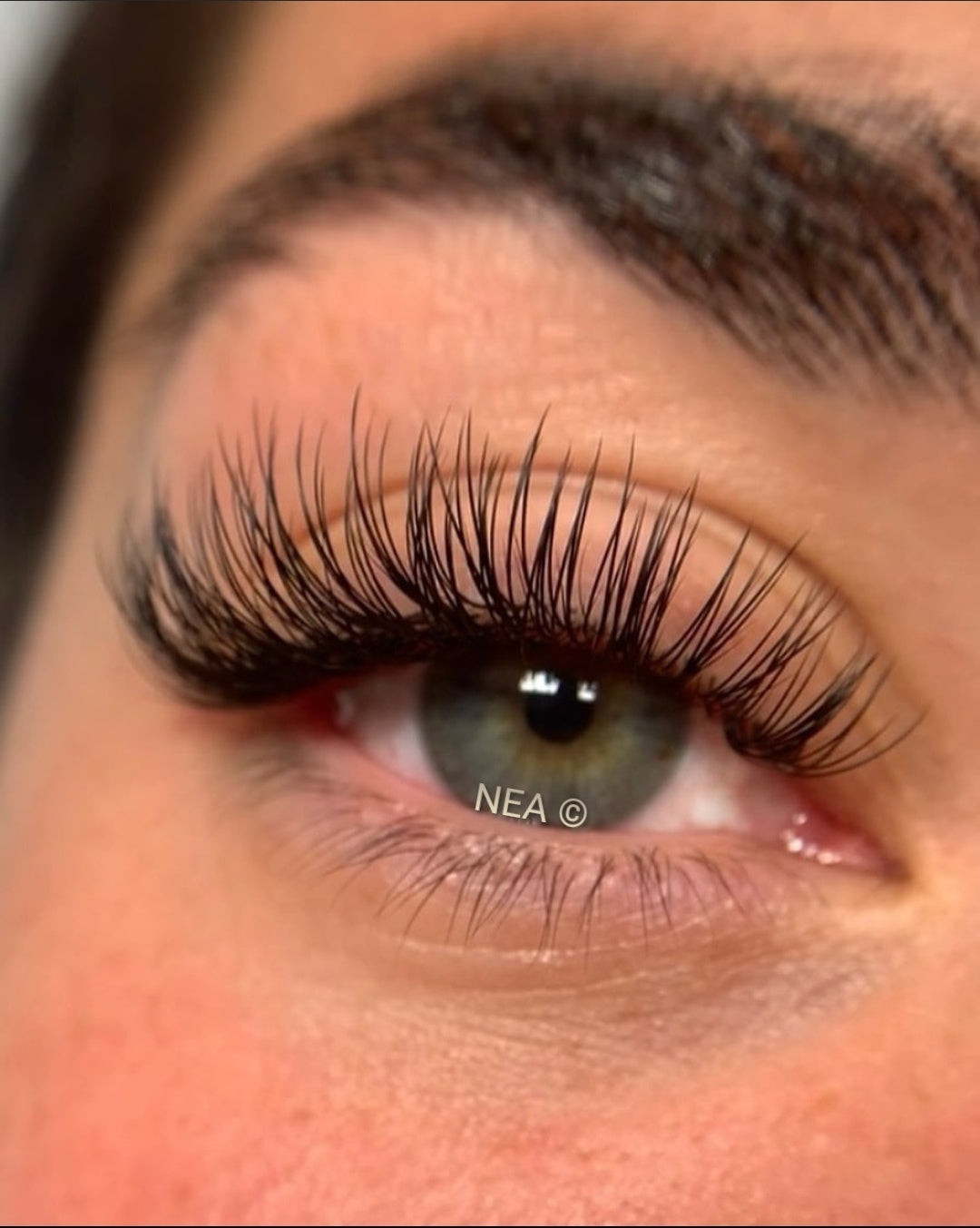 Classic Lash Course (Beginner Friendly)